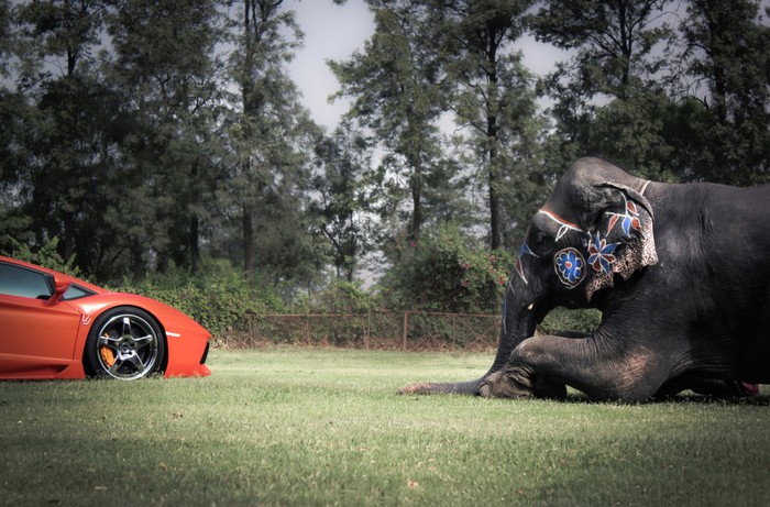 Nổi tiếng với những loạt ảnh chụp siêu xe đẹp một cách tuyệt đối tuy nhiên lần này ADV.1 lại khiến người hâm mộ thán phục về sự sáng tạo của mình trong bộ ảnh chụp "siêu bò" Lamborghini Aventador mới độ bên chú voi khổng lồ.